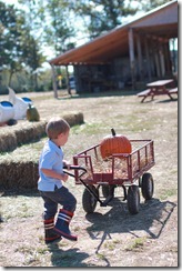 Pumpkin Patch Oct. 2011 027