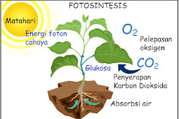 Transformasi Energi dalam Sel