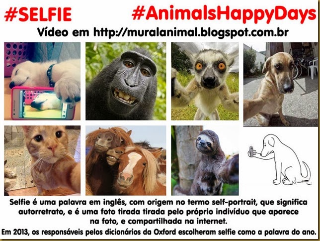 animals_selfie