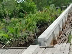 Pembangunan Turap Pengaman Jalan Di Desa Mengkirau Perlu Dipertanyakan 