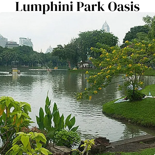 A view of the Lumphini Park Oasis in Bankok