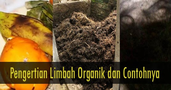 20+ Contoh Limbah Organik, Gambar, dan Penjelasannya