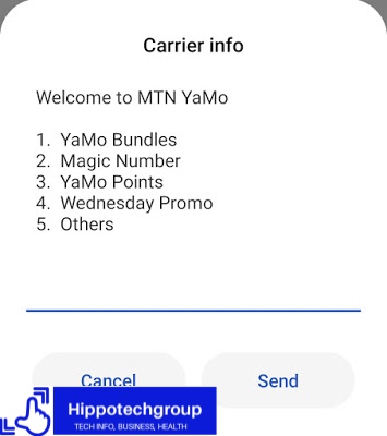 How do I register my MTN Magic Number?