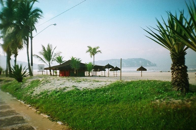 liberdade total