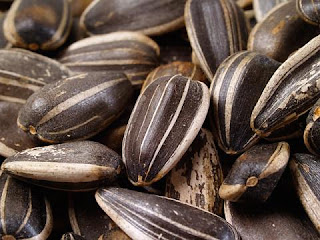 Sunflower seeds have a Powerful Efficacy for health