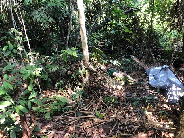 Polícia Civil desvenda morte de menor, prende 5 em flagrante e acha corpo enterrado em Feijó