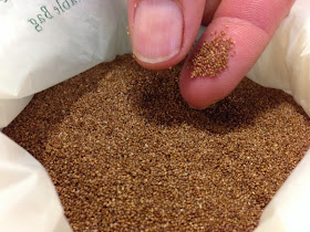 http://www.goodfood.com.au/good-food/cook/step-aside-quinoa-is-teff-the-new-8216superfood8217-grain-20150324-1m5q22.html