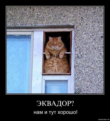 1295629372_6x7jxpq2adrh