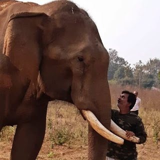 Elephant Whisperer , Anand  Shinde