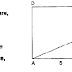 10. Sınıf Matematik 2. Dönem 2. Yazılı Soruları ve Cevapları