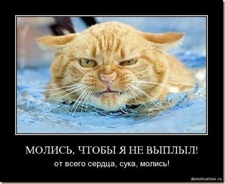 x_4cf6828c
