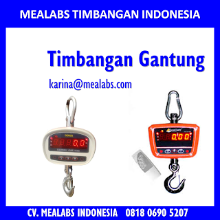 Jual Timbangan Gantung atau Crane scale Mealabs Timbangan Indonesia