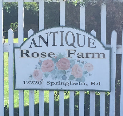 https://www.facebook.com/pages/Antique-Rose-Farm/724041350987556?rf=148316371879437