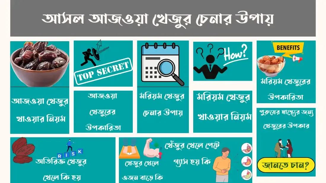 আসল-আজওয়া-খেজুর-চেনার-উপায়