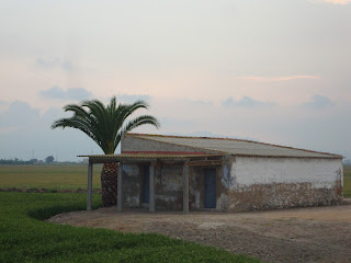Casa antiga - campo de arroz