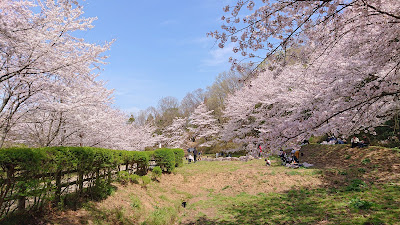 大阪府立近つ飛鳥風土記の丘(河南町)