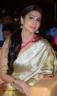 Actress Shriya Saran New Images in Silk Saree at Gautamiputra Satakarni Audio Launch  0010.jpg