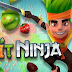 Fruit Ninja v2.2.3 + data Full Apk Game