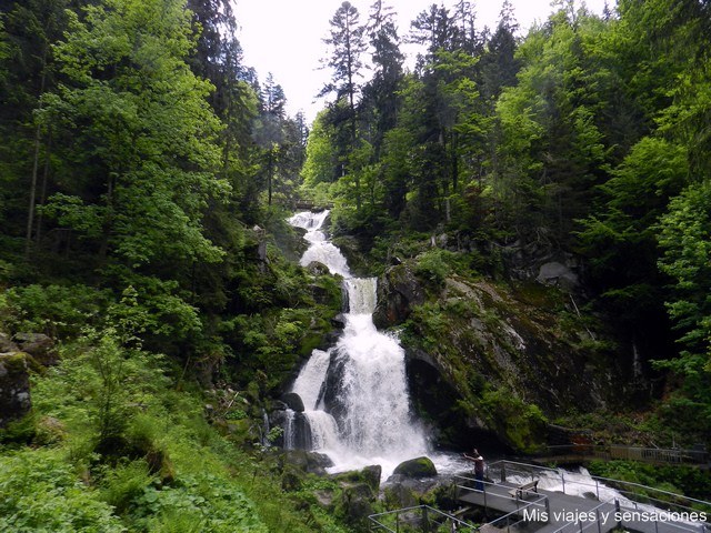 Cascadas de Triberg, Selva Negra, Alemania