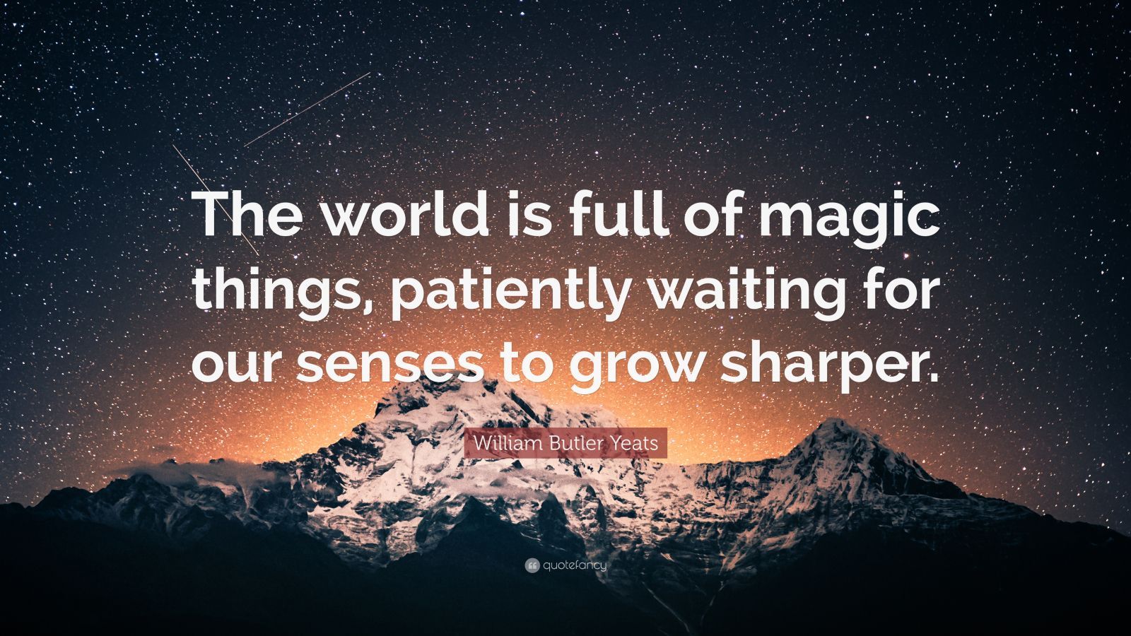 The world Is magic quote