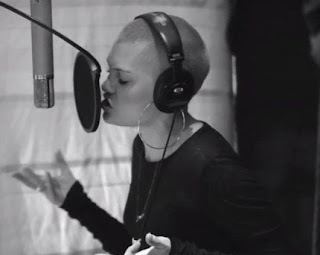 Jessie J - Wild Lyrics and Video Cover