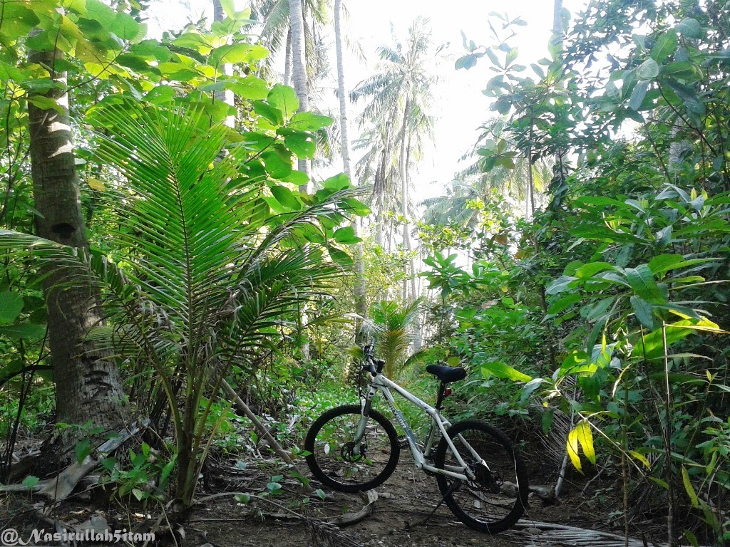 Bersepeda melewati jalan setapak