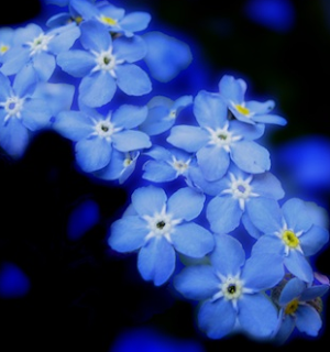 I Just Can’t Take it Anymore | Alzheimer's Reading Room