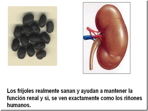 frutas 05