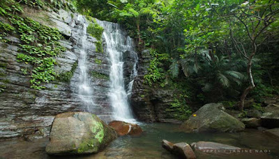 Pulau Iriomote