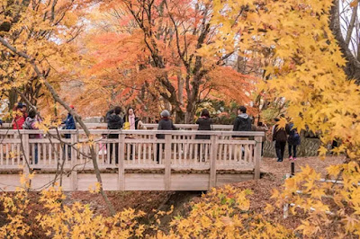 22º Fuji Kawaguchiko Autumn Leaves Festival