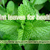 How to Use Mint Leaves for Health, Pudina Usefull for us