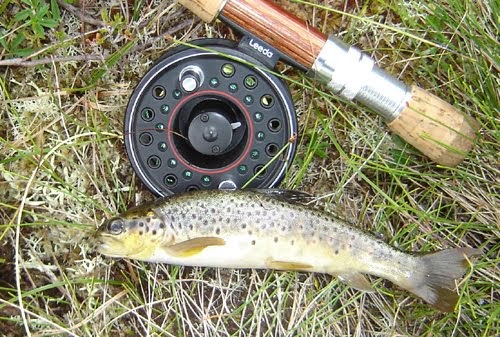 Hillend Dabbler: Black Cuillin, Trout and Clegs.
