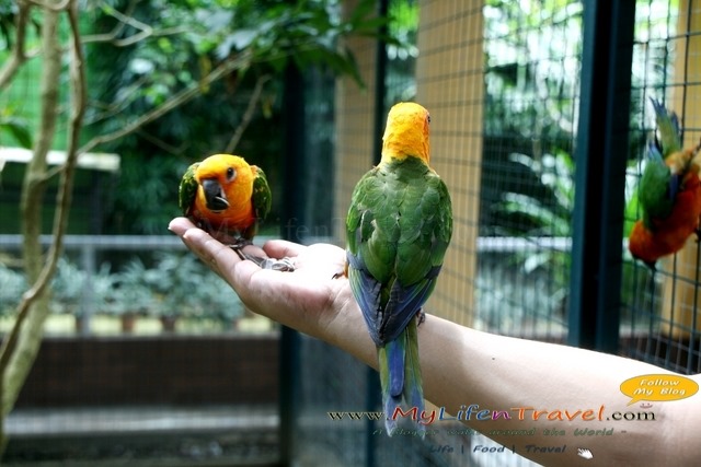 Langkawi Wildlife Park