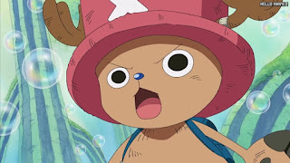 ワンピースアニメ シャボンディ諸島編 400話 チョッパー Tony Tony Chopper | ONE PIECE Episode 400