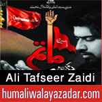 http://www.humaliwalayazadar.com/2015/06/ali-tafseer-nohay-2016.html