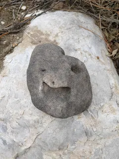 Stone with a funny smiling face