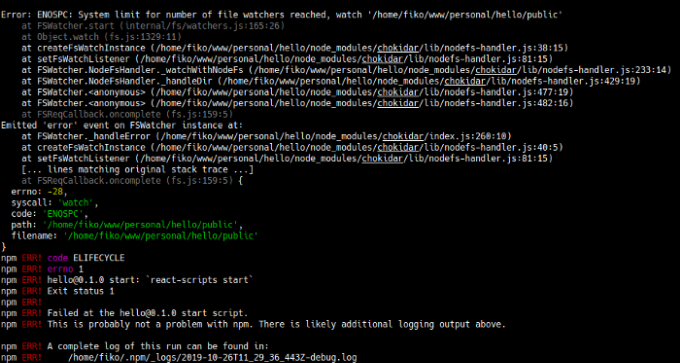 npm start error max watcher used