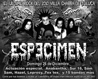 Especimen en Toluca