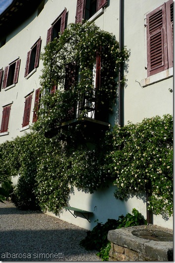 Gorizia 2011 016