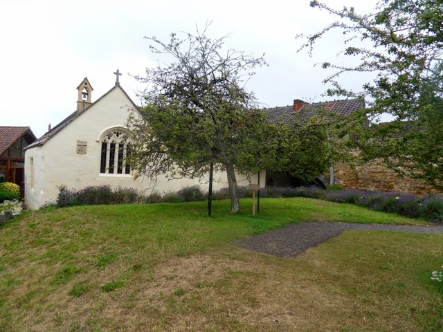 SDC15463