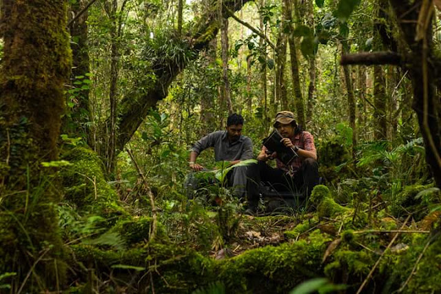 Penemuan Gunung Ke-4 Tertinggi Di Malaysia, Gunung Kaingron Tambunan sabah