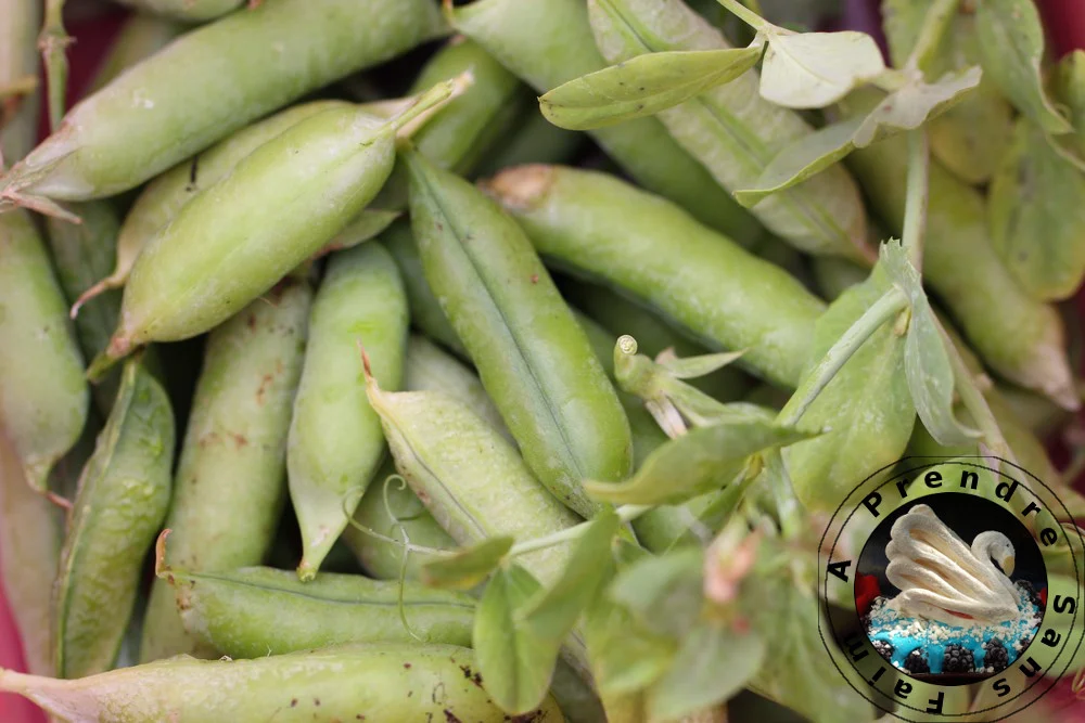 Tartinade de petits pois aux amandes