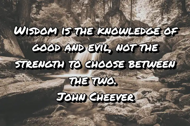 Wisdom is the knowledge of good and evil, not the strength to choose between the two. John Cheever