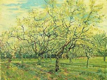 The White Orchard