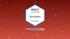 aws-certified-developer-associate-practice-exams-amazon