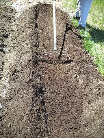 Preparing the ground for cultivating Asparagus