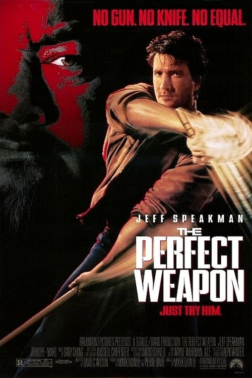Arma perfetta 1991 Film Completo Online Gratis
