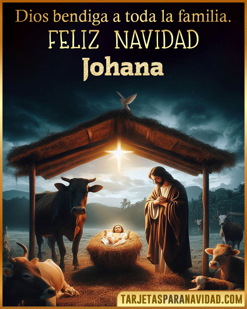 Feliz Navidad Johana