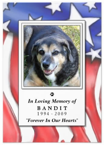 Red White Blue USA Flag Photo Frame 3.5 x 5 Inch or 5 x 7 Inch Red White Blue USA Flag Pet Memorial Custom Photo Frame