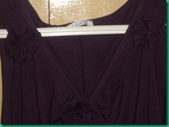 DSCI0438 (2)